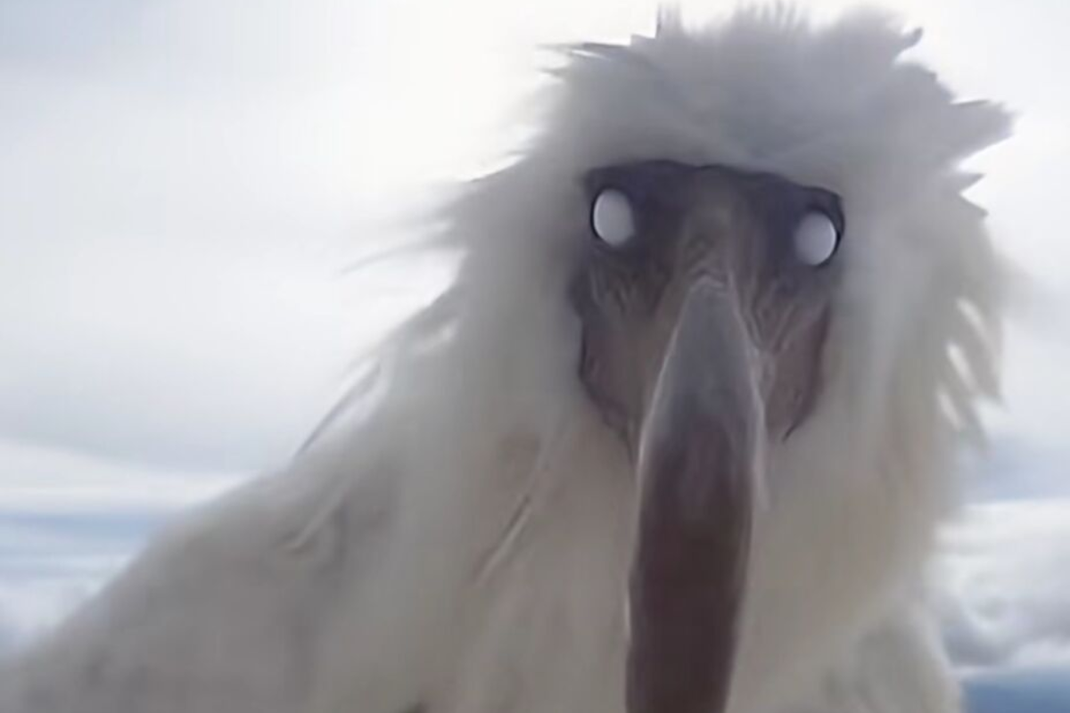 Opium Birds: ¿Son reales estos seres virales de TikTok?