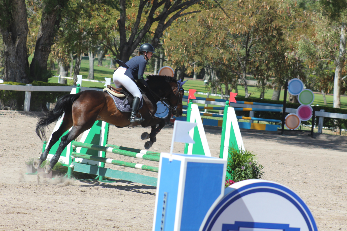 9 En busca del campeón estatal en salto ecuestre. Ha iniciado la primera fecha de las cuatro totales, con una competencia muy atractiva que, esta vez, se ha desarrollado en el Hípico del Club Campestre de Querétaro