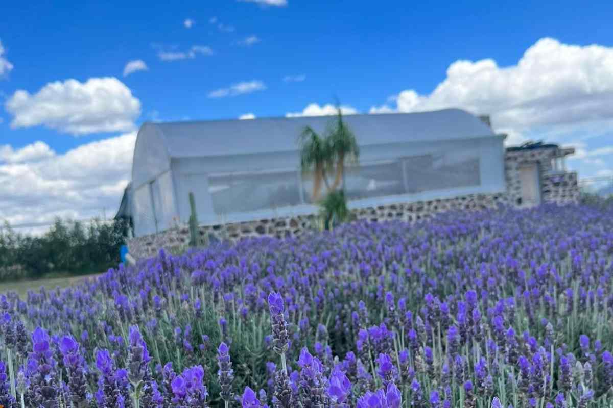 Los destinos para tu luna de miel en Queretaro (1)