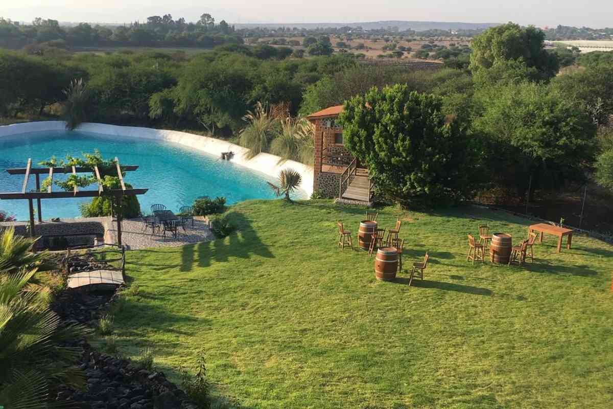 Los 5 viñedos en Querétaro que no puedes perderte esta Navidad (2)