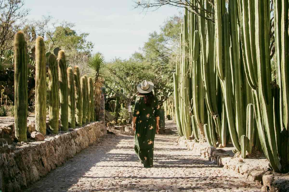 Qué hacer en Querétaro en 5 días si estás de vacaciones