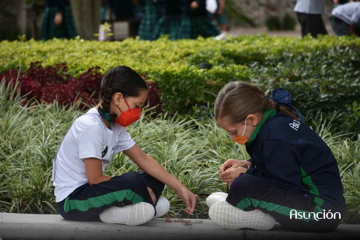 primarias en Queretaro mas destacadas por sus programas deportivos (2)