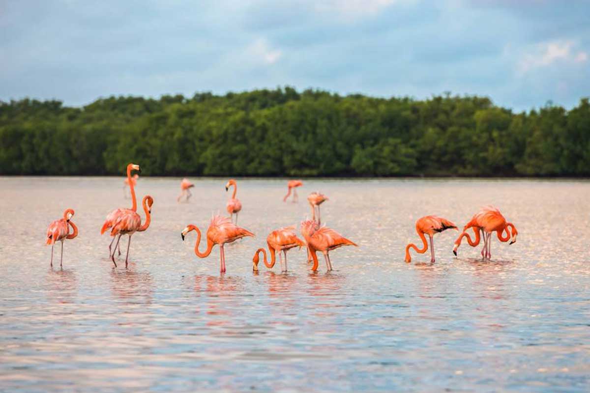 Los mejores lugares para visitar con ninos en Mexico en