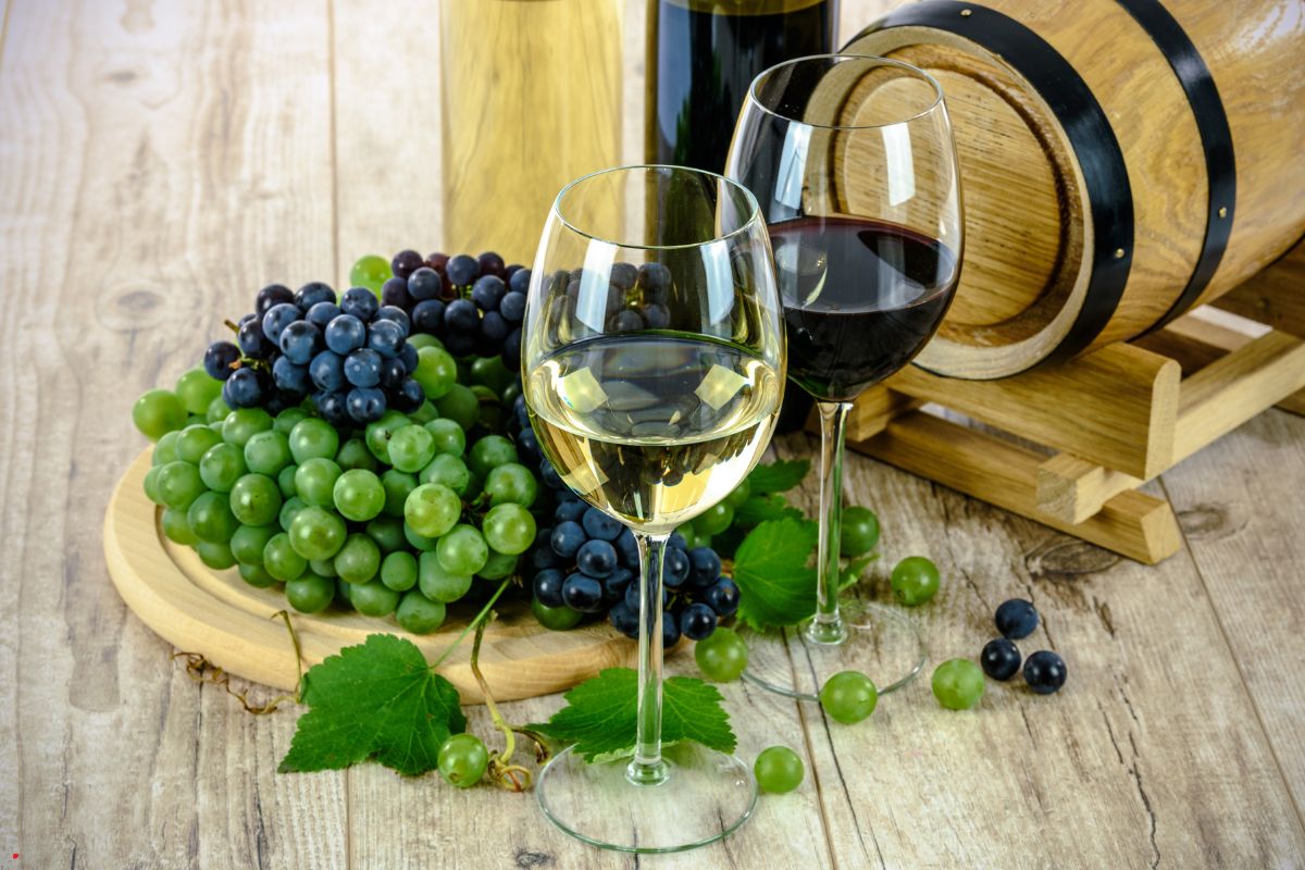 ¿Cómo elegir el vino perfecto según la ocasión? 5 Consejos para no fallar en tu compra
