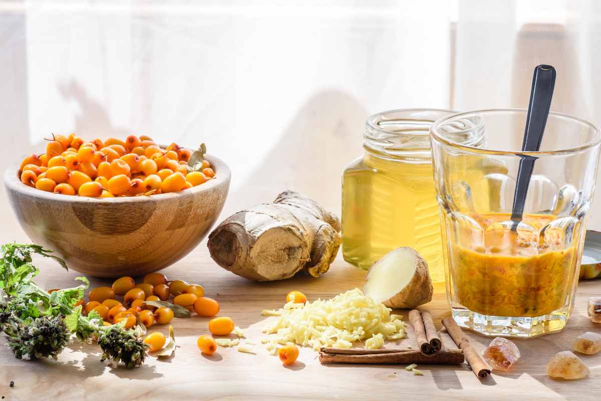 TOP 10 alimentos para reforzar tu sistema inmune antes de viajar