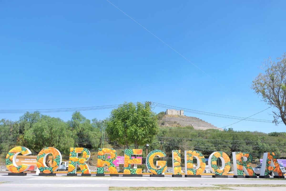 Celebra el Día de la Biodiversidad con estos increíbles eventos en Corregidora