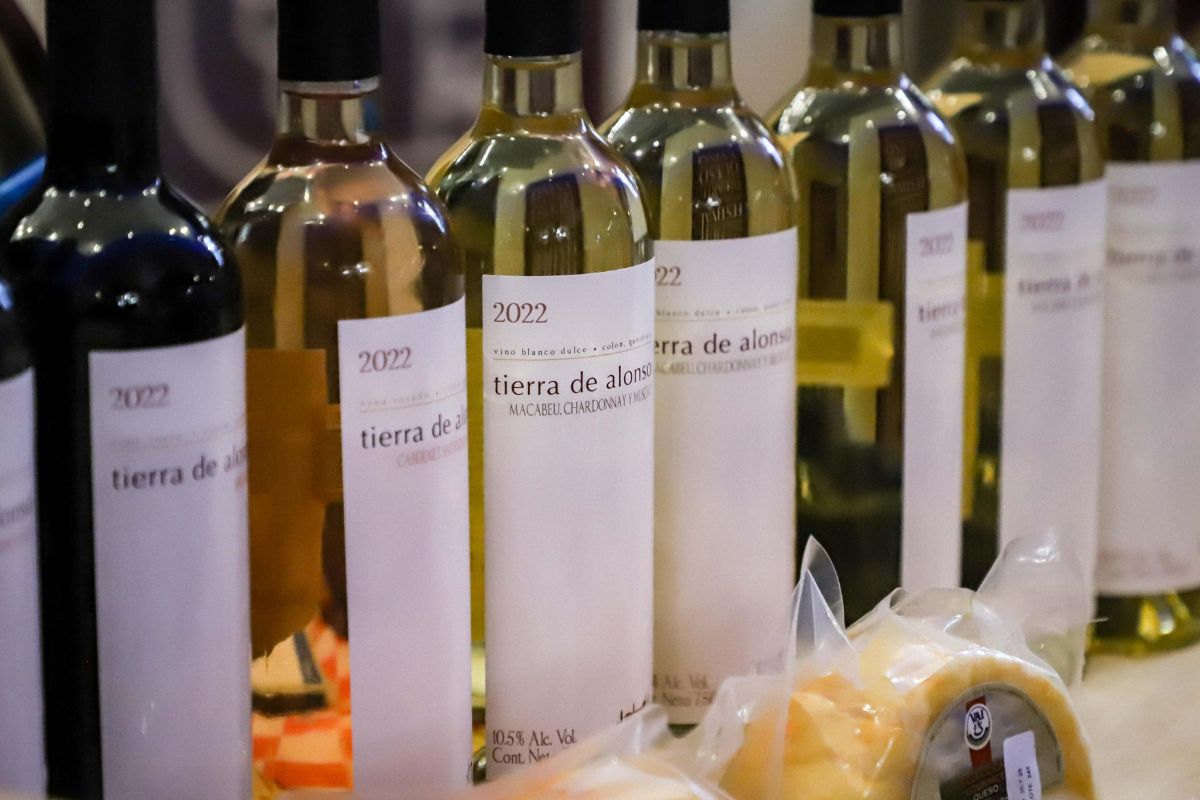 Tequisquiapan se llena de sabor con el Festival del Arte Queso y Vino 2025 1