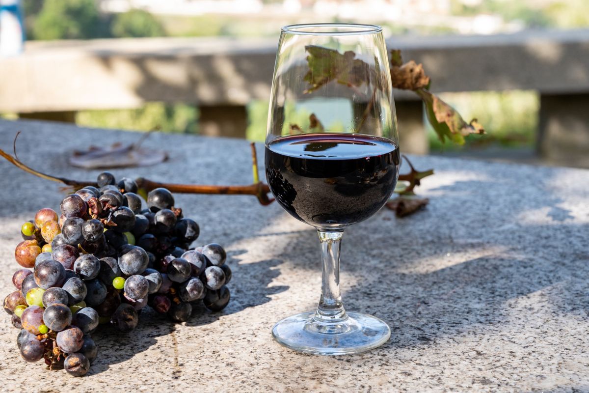 Descubre a qué sabe cada vino según la uva