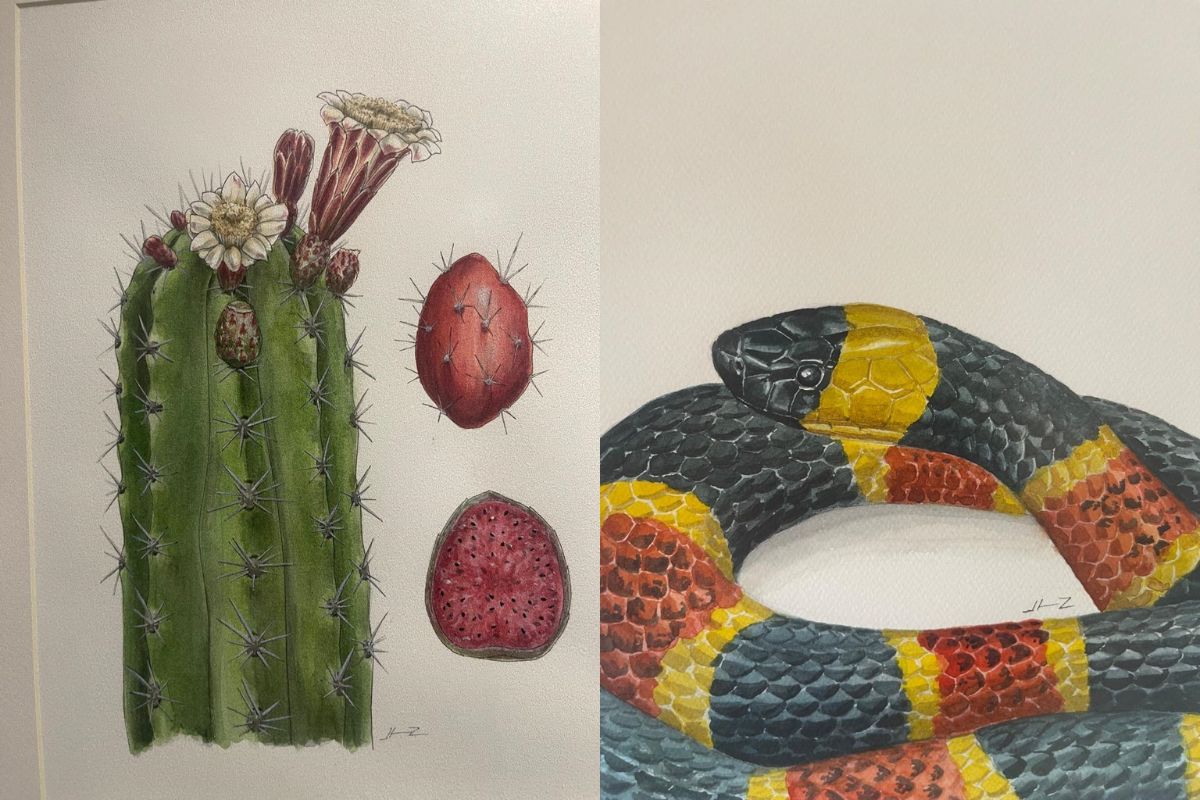 Disfruta la expo ‘Riqueza biocultural de la Sierra Gorda Queretana’