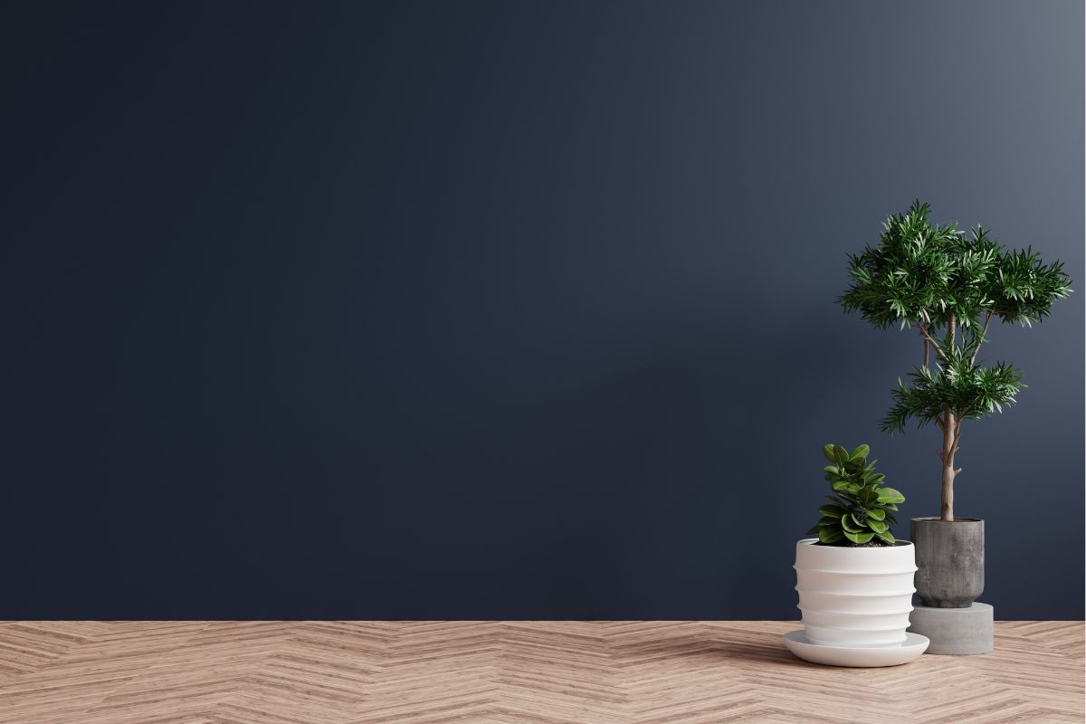 5 ideas para destacar una pared en tu hogar