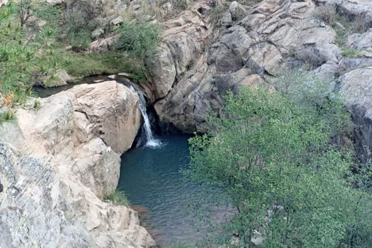 El Aserrín: una ruta de senderismo para disfrutar con tu mascota en Querétaro