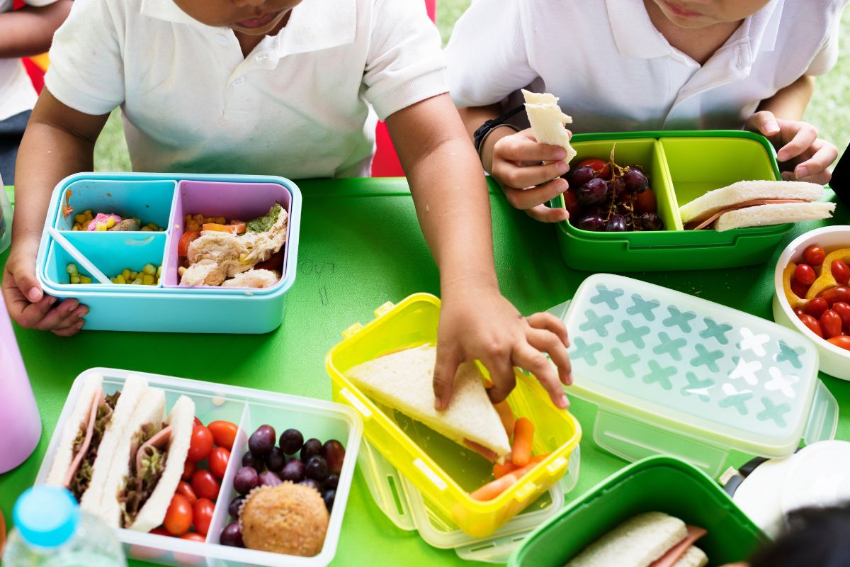 Lunch saludables para el regreso a clases: ideas fáciles y económicas