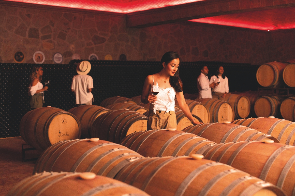 San Juanito la bodega que convirtió un no rotundo en el vino más premiado de Querétaro