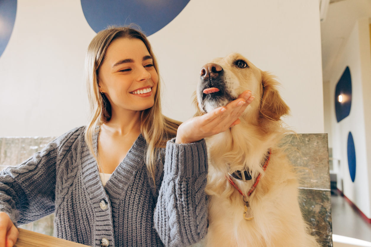 ¿Sales a comer con tu perro en Querétaro? Te contamos todo: restaurantes que aceptan mascotas, consejos infalibles