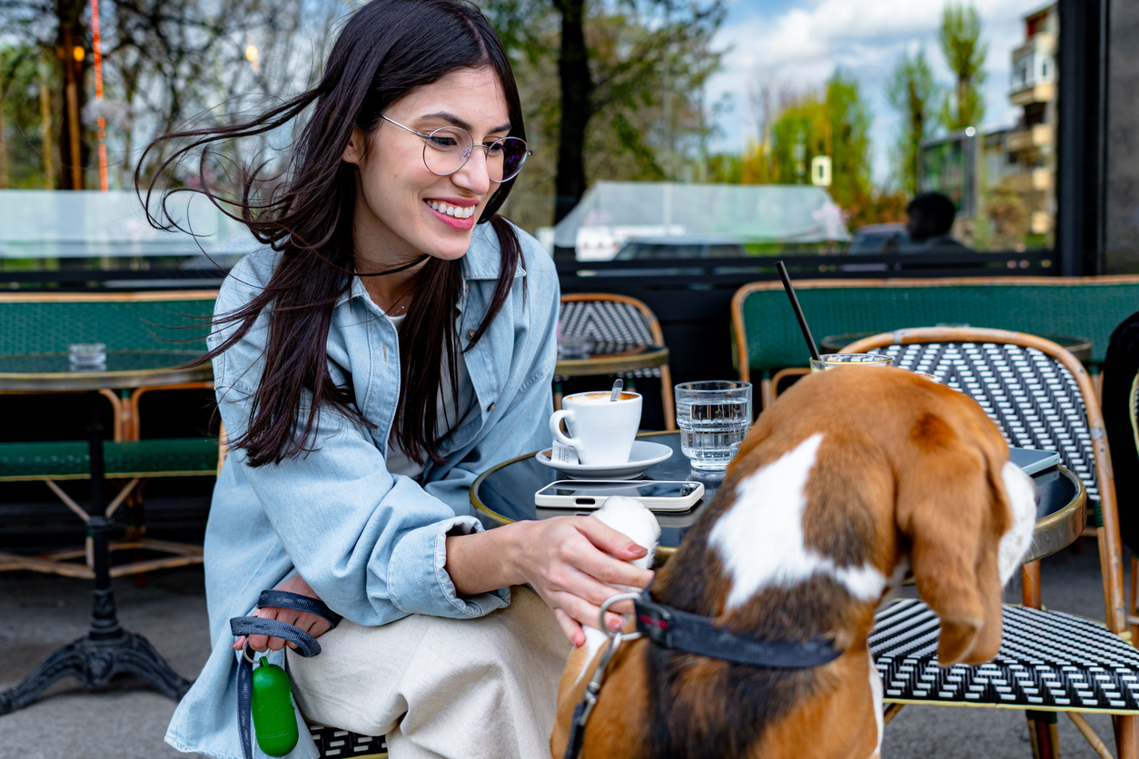 ¿Sales a comer con tu perro en Querétaro? Te contamos todo: restaurantes que aceptan mascotas, consejos infalibles