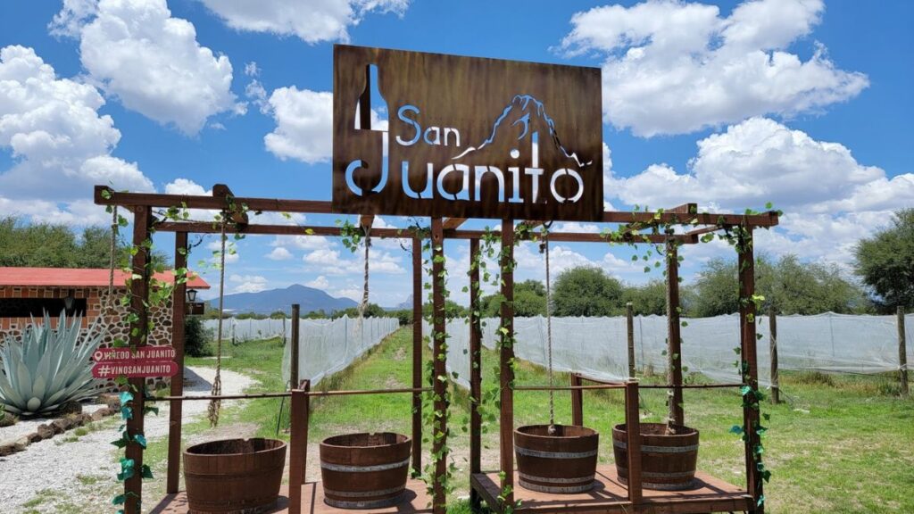 Saborea la tradición: San Juanito, vinos con alma mexicana desde Querétaro Imagen: Cortesia
